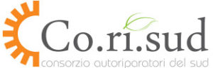 co.ri.sud logo clienti